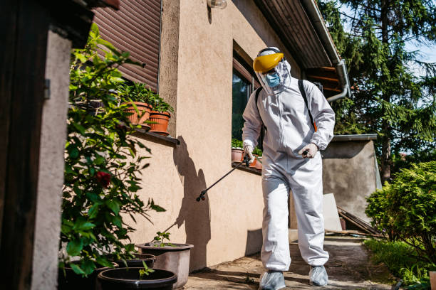 Best Spider Control Near Me  in South San Gabriel, CA