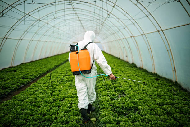  South San Gabriel, CA Pest Control Pros