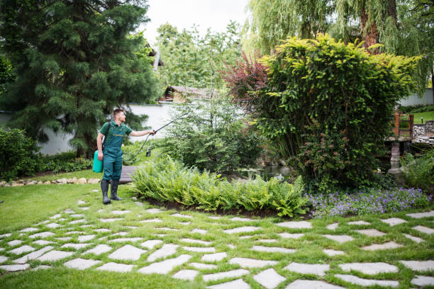 Best Exterminator Services  in South San Gabriel, CA