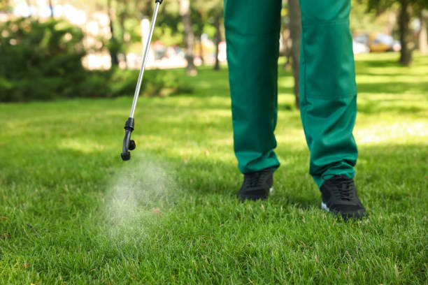 Best Best Pest Control Companies  in South San Gabriel, CA