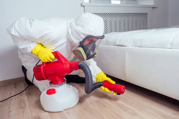 Best Affordable Pest Control Services  in South San Gabriel, CA