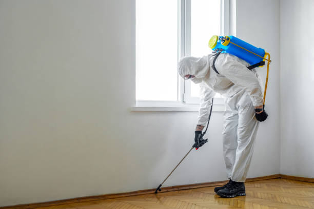 Best Commercial Pest Control Services  in South San Gabriel, CA