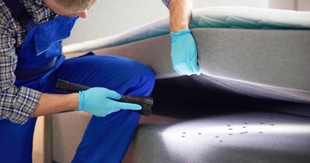 Wildlife Control Services in South San Gabriel, CA