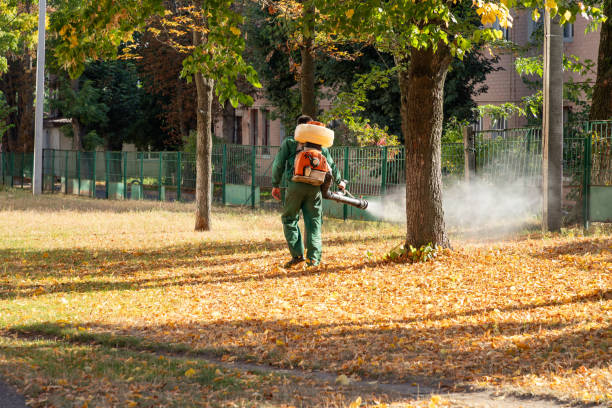 Best Bird Control  in South San Gabriel, CA