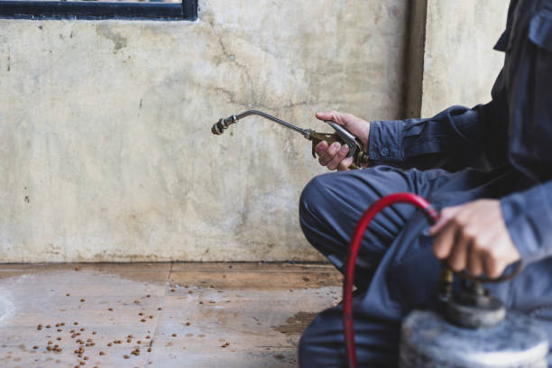 Trusted South San Gabriel, CA Pest Control Experts